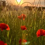 Domaine De Cascaret - Sleeps 16 - July - August Only Montréal